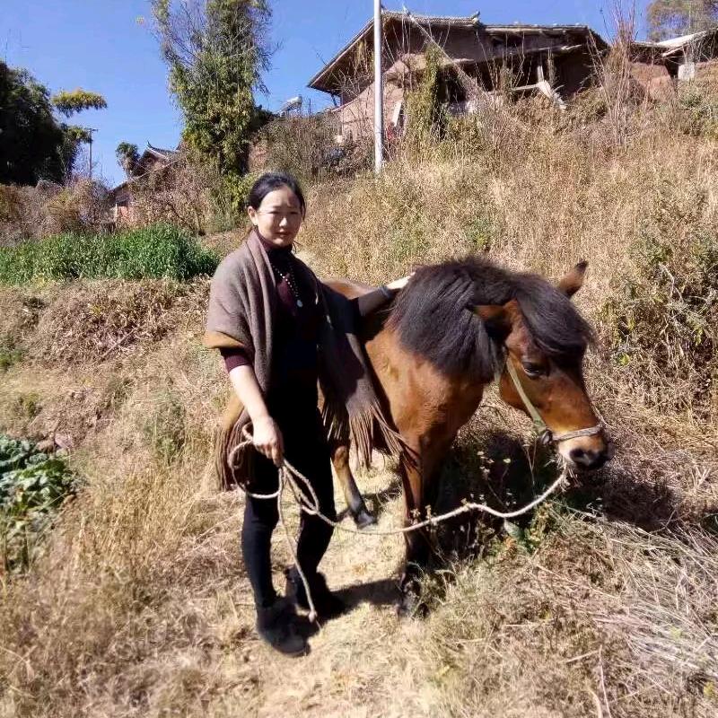 岷江桂花村柴火鸡