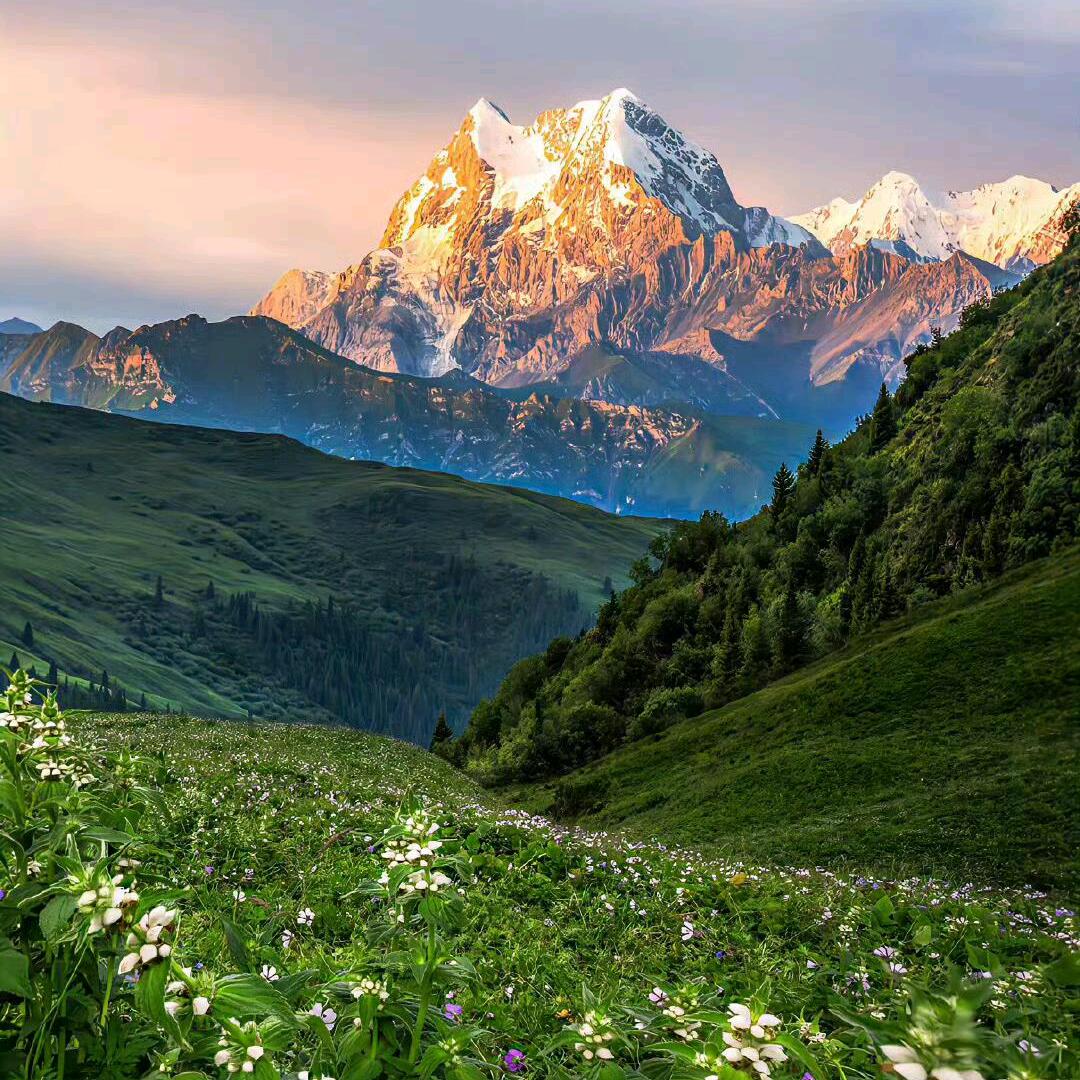 老百姓百货商场k