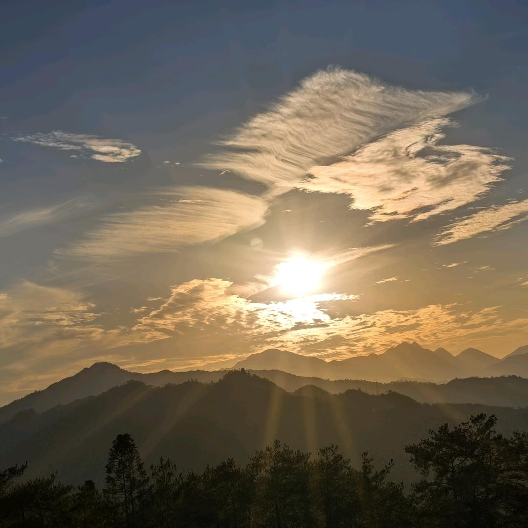 千寻🌹🌹邂逅🥀🥀