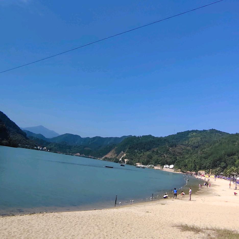 浪浪