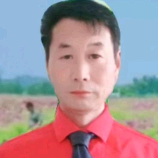 展翅飞翔