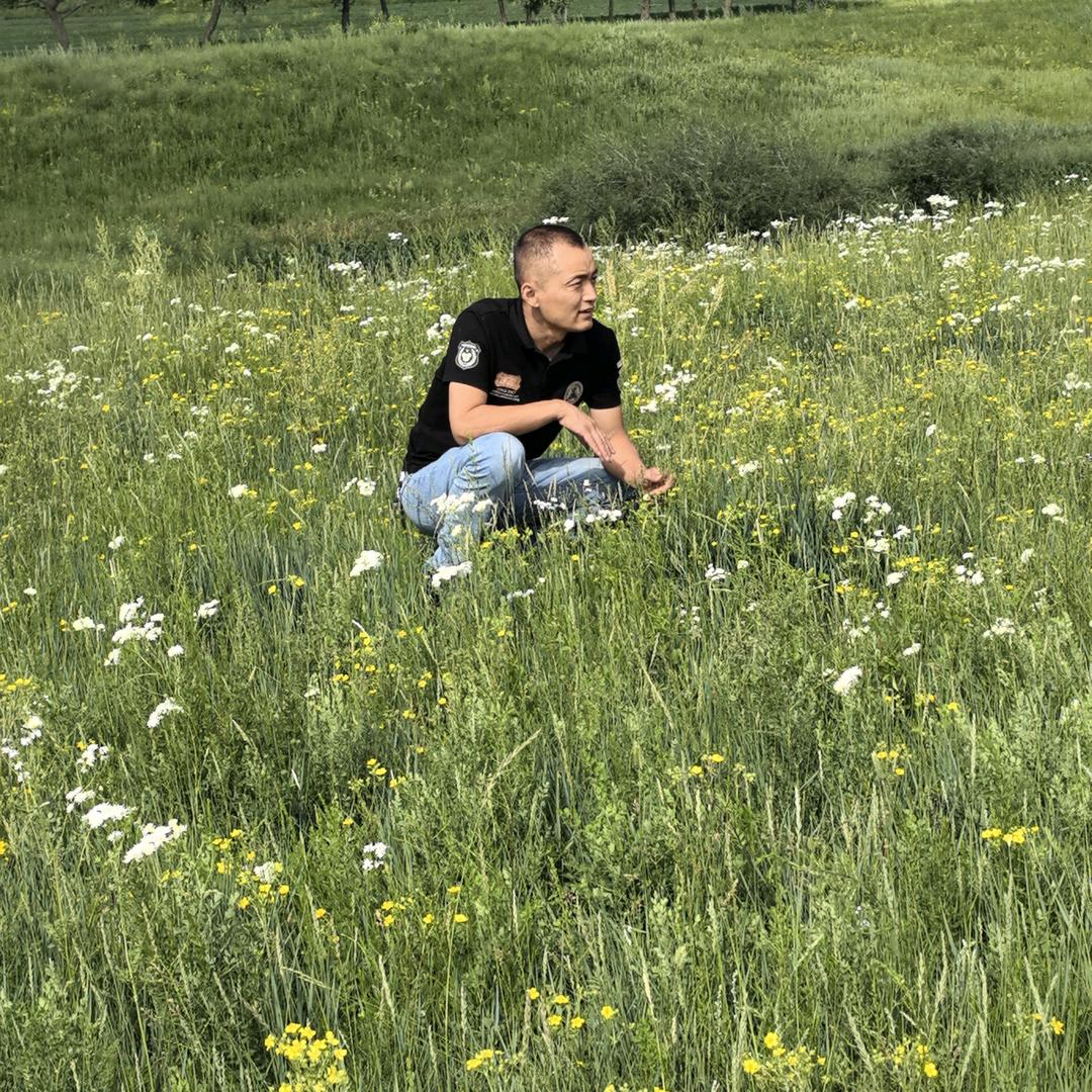 半生风雨亦从容