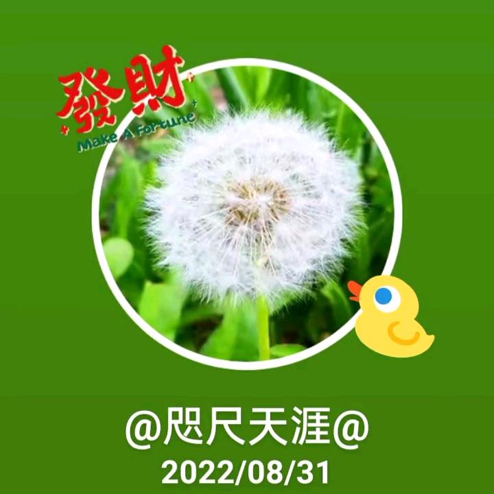 Tⅴ