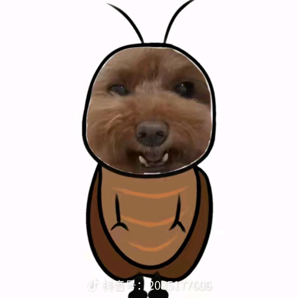 人机