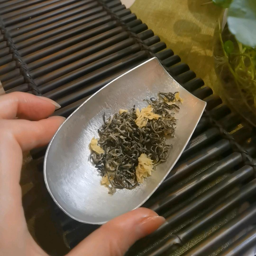 一片叶子的故事1