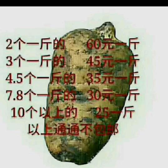 我爱你一万年