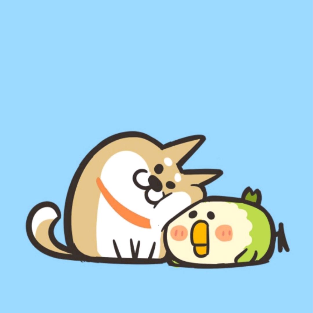 小菜鸡