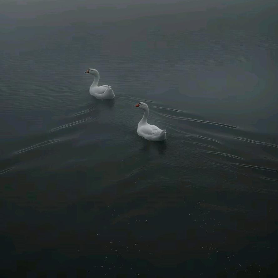 无零矢(躺平版)