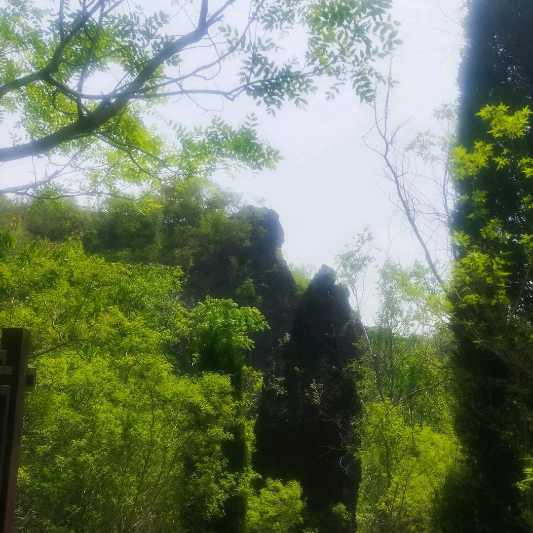 梦幻人生