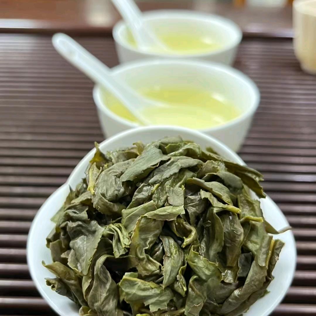 飞天龙🐲