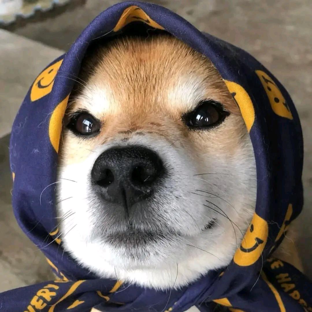赫赫
