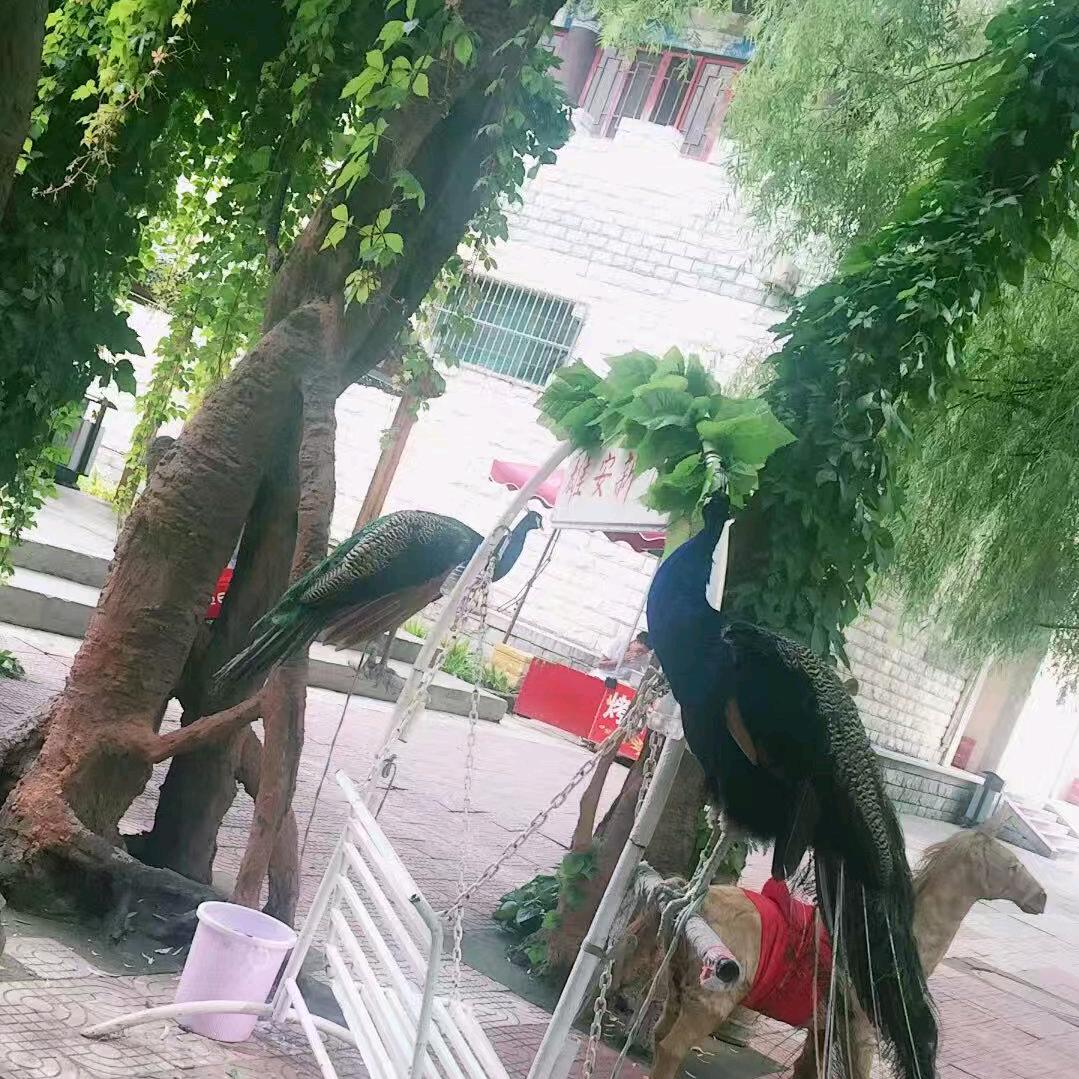 幸福的妈妈