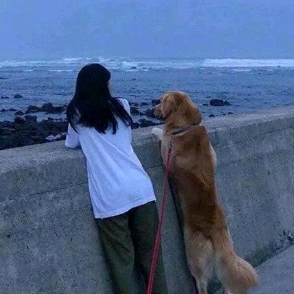 一只羊🍓