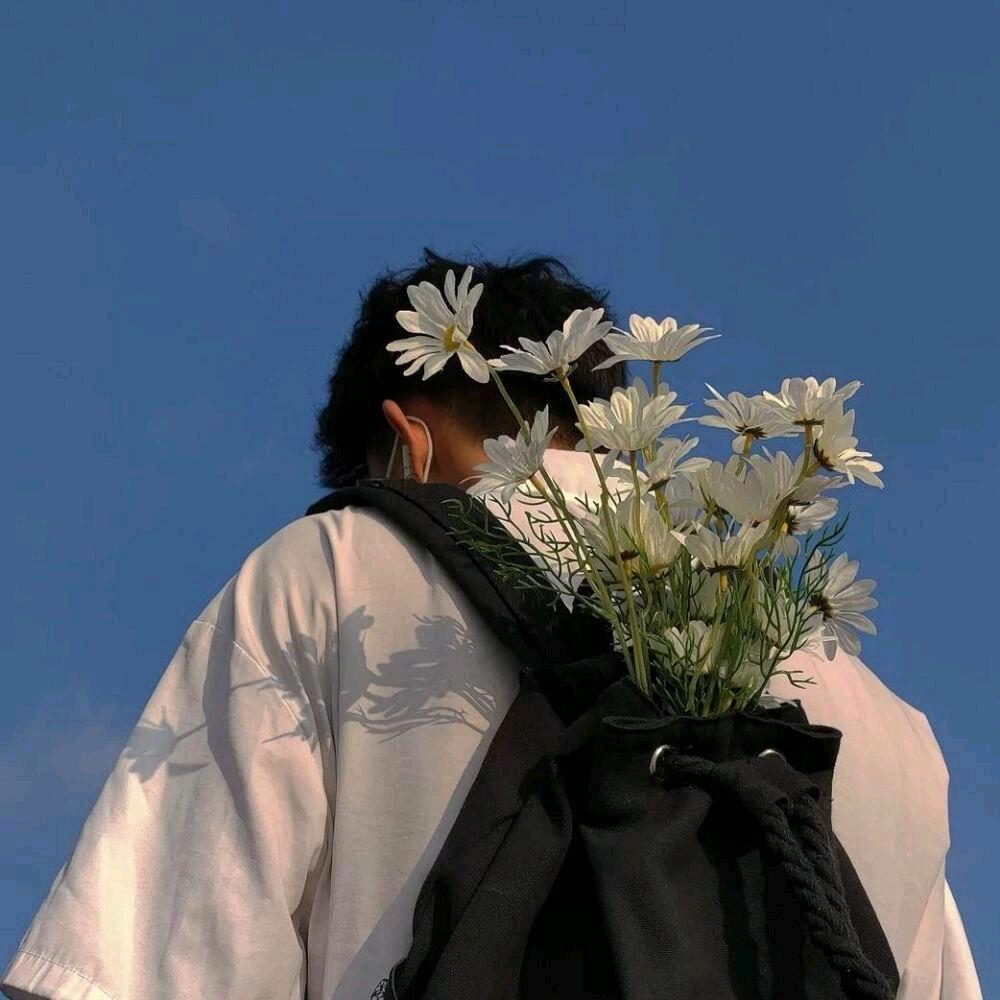 蛋君