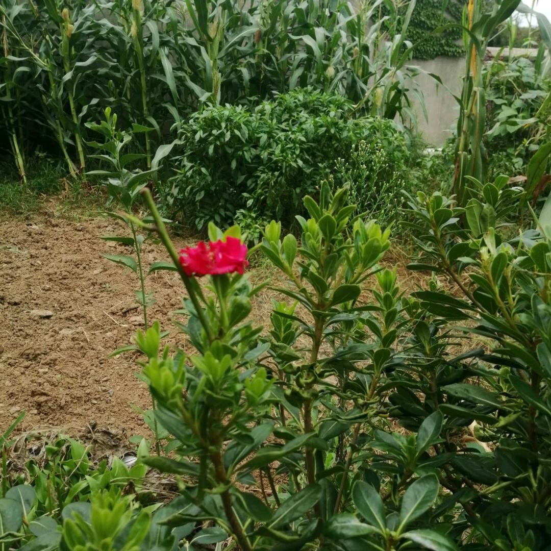 珍惜缘份
