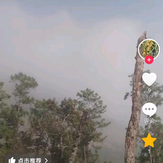 挦找有缘人