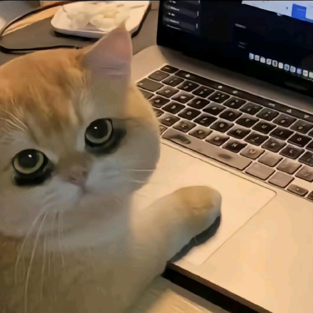 潇雀