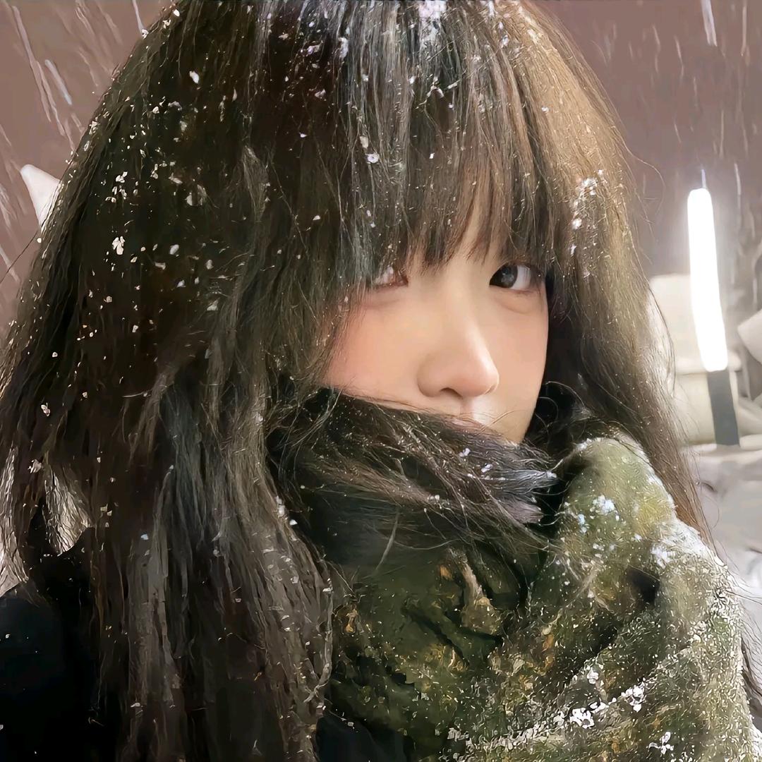 豆子私橱