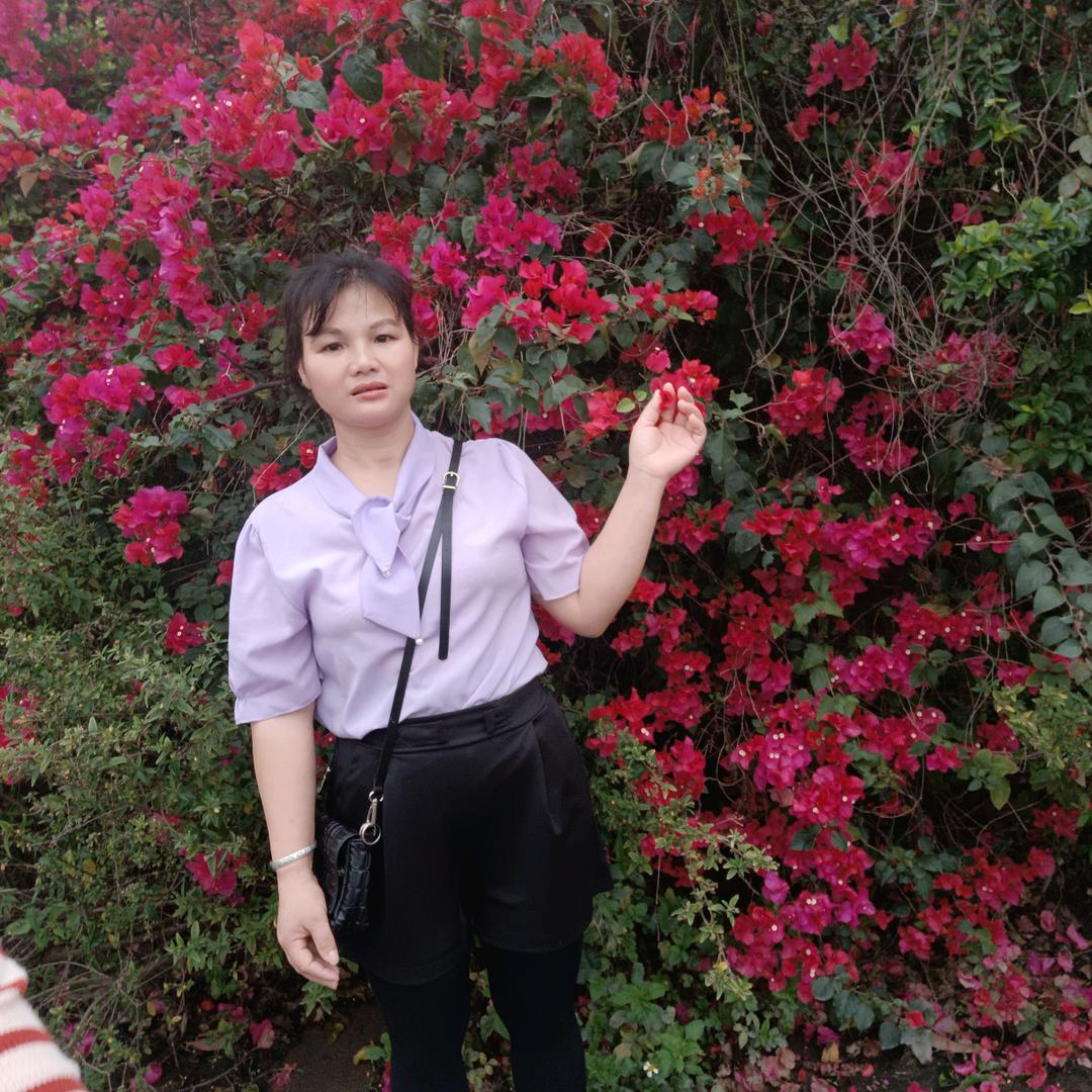 水芙蓉