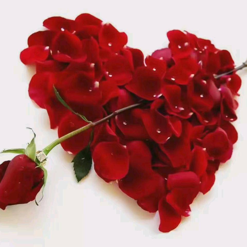 咖啡不懂酒里醉