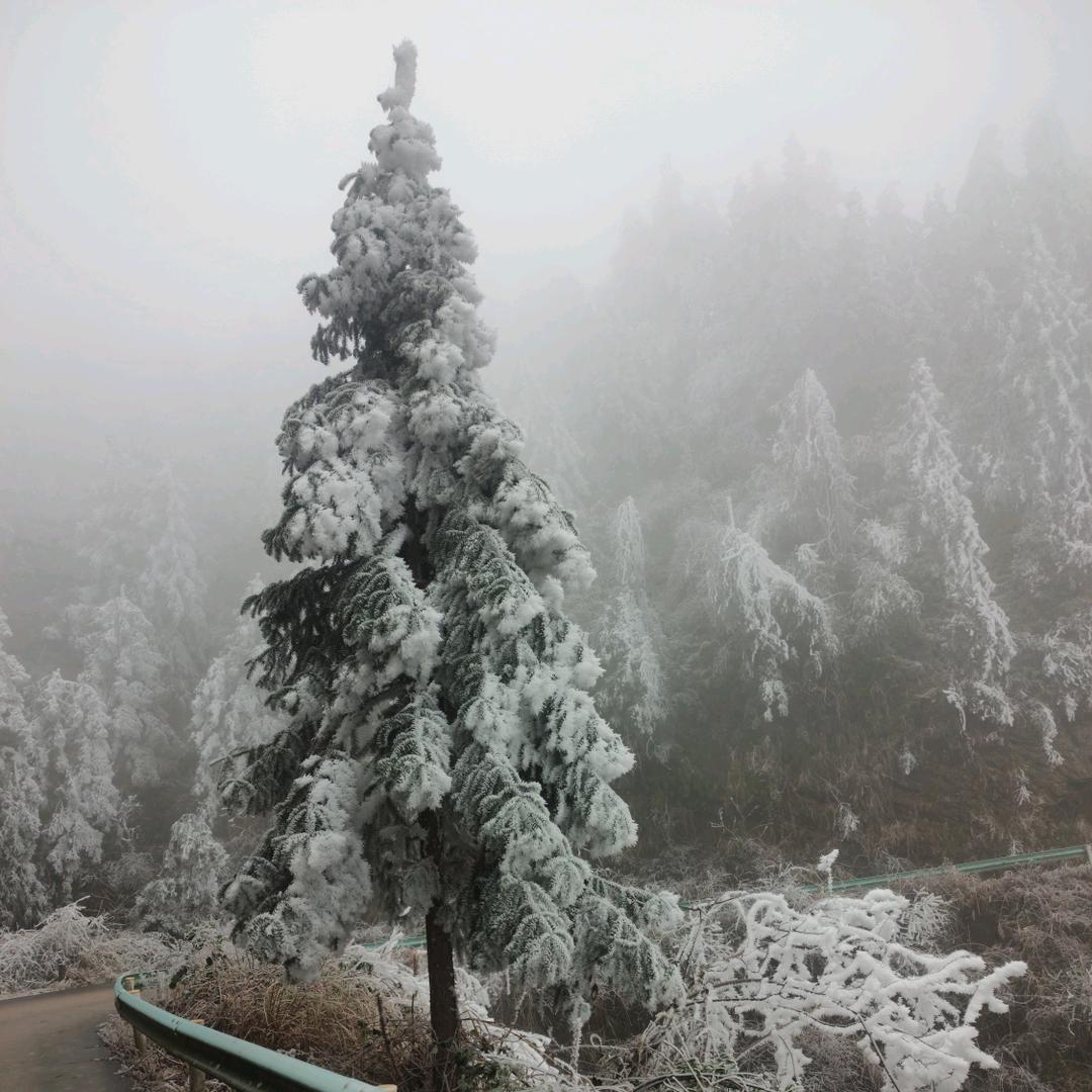 寻找风景