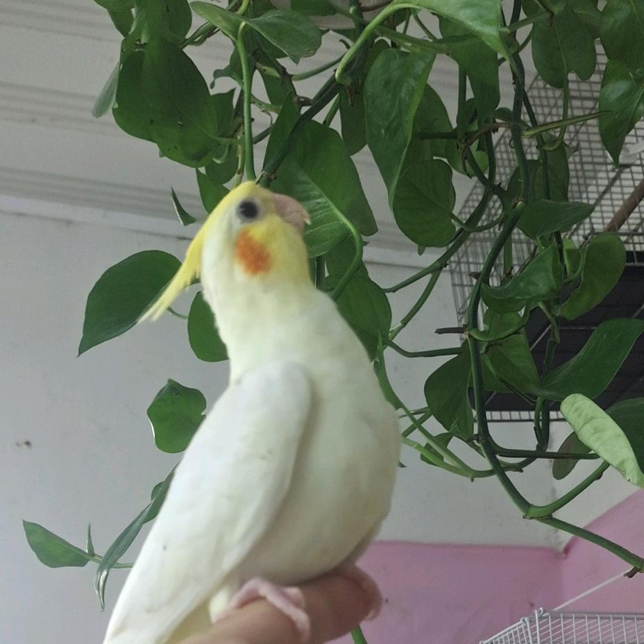 骑着蜗牛去钓鱼