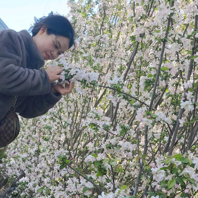 灵璧哪家做斑好