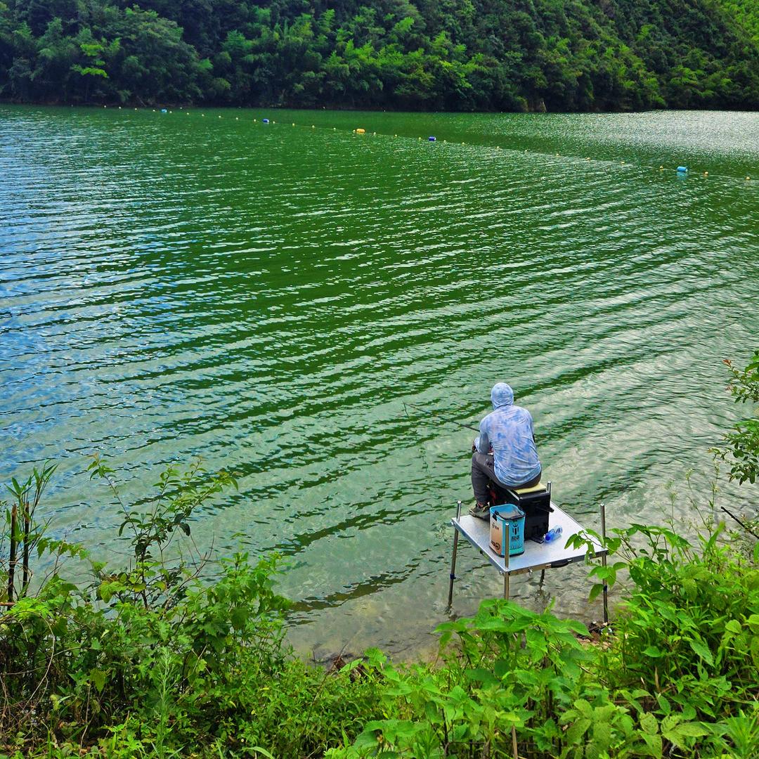 侯，总上岸