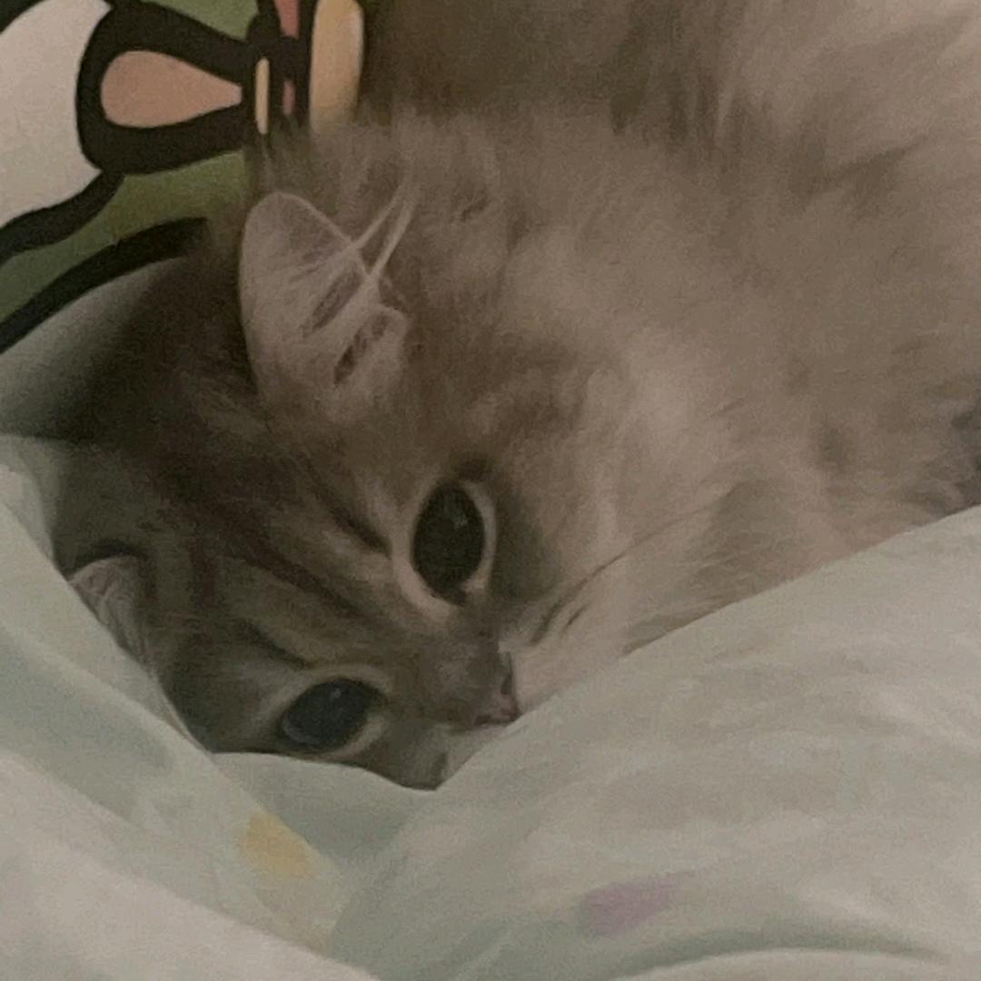 💌