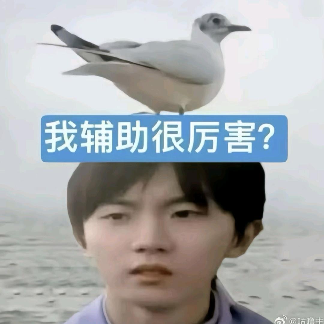 🌈超级爆爆龙🥠🍍