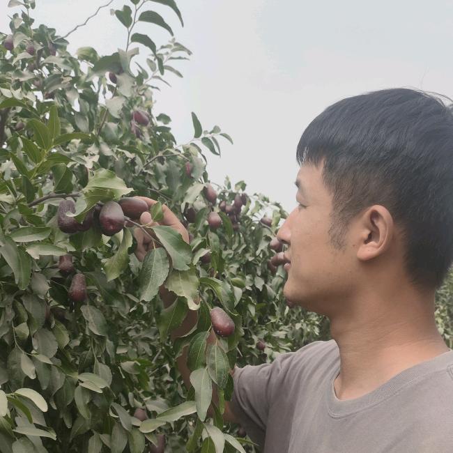 小邵在和田
