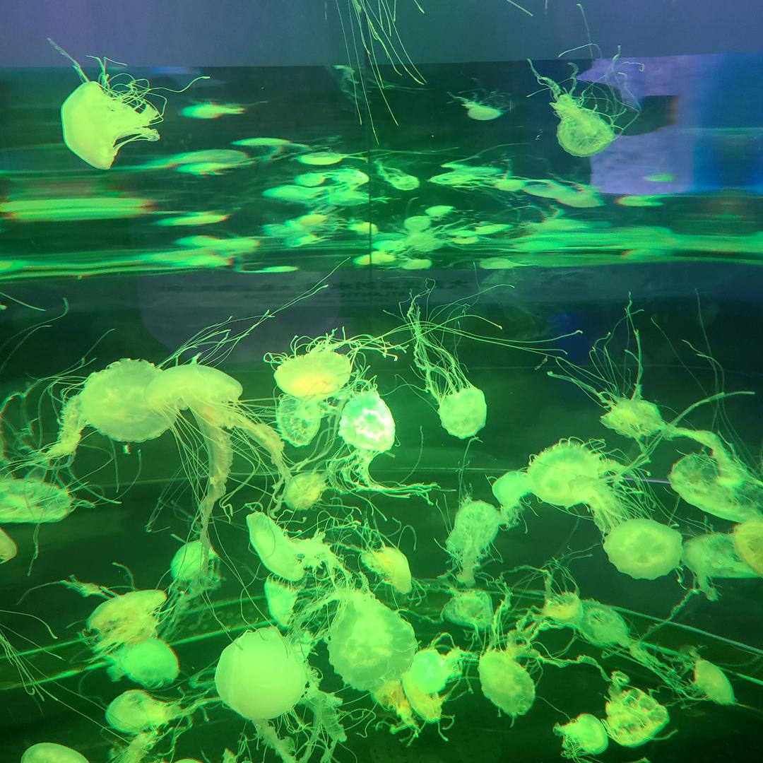 乌七八古装修房快好你