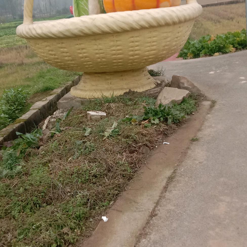 杨安