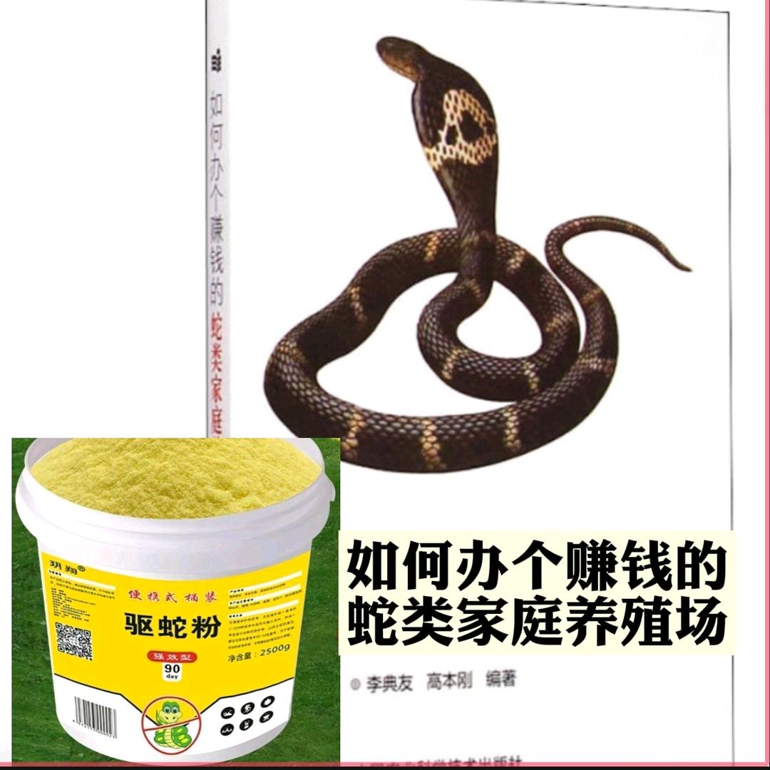 大金动物平价商品