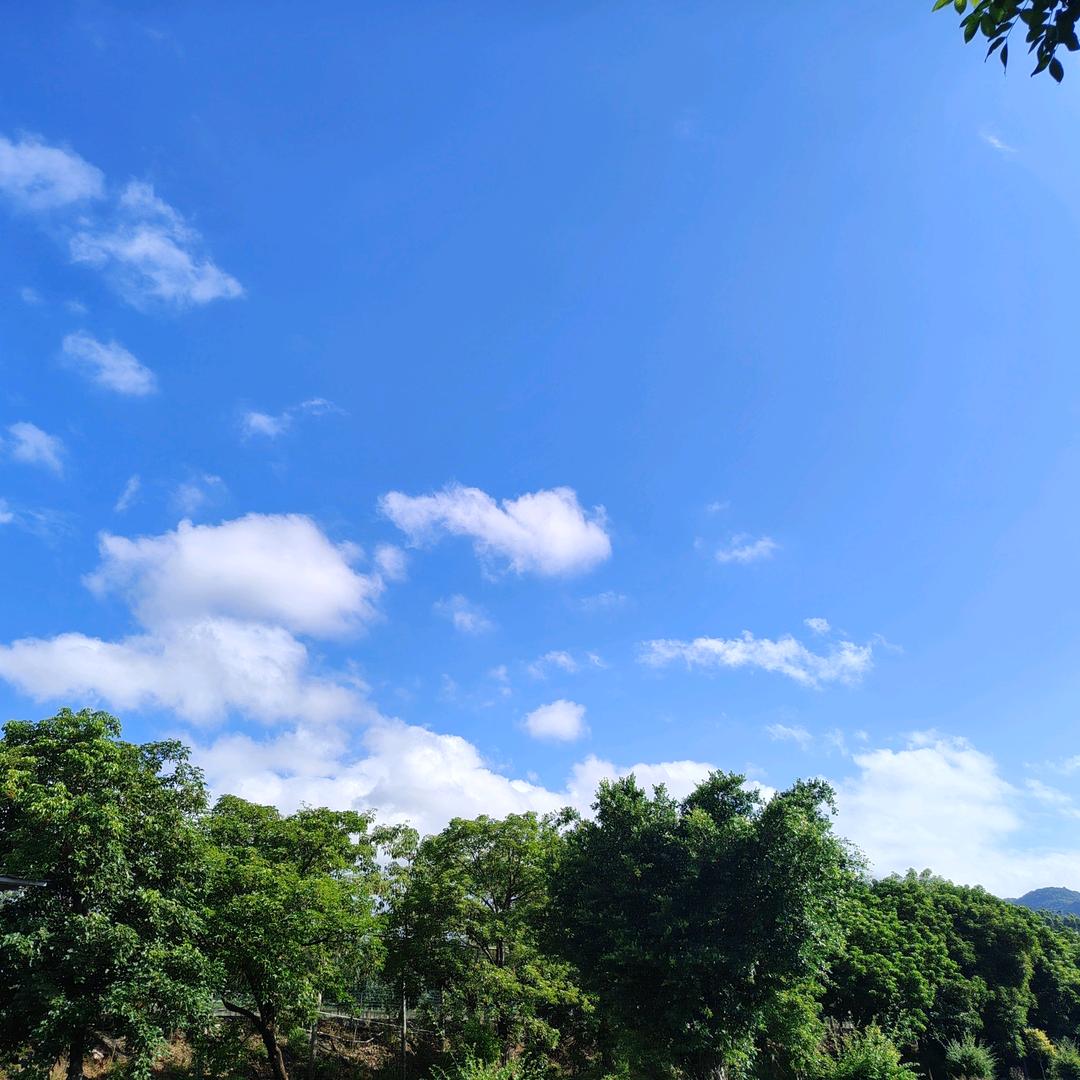 黄菇凉（谢谢关注，请不要连赞）