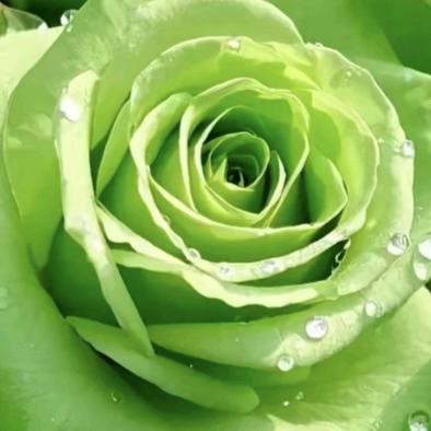 小小如优品甄选