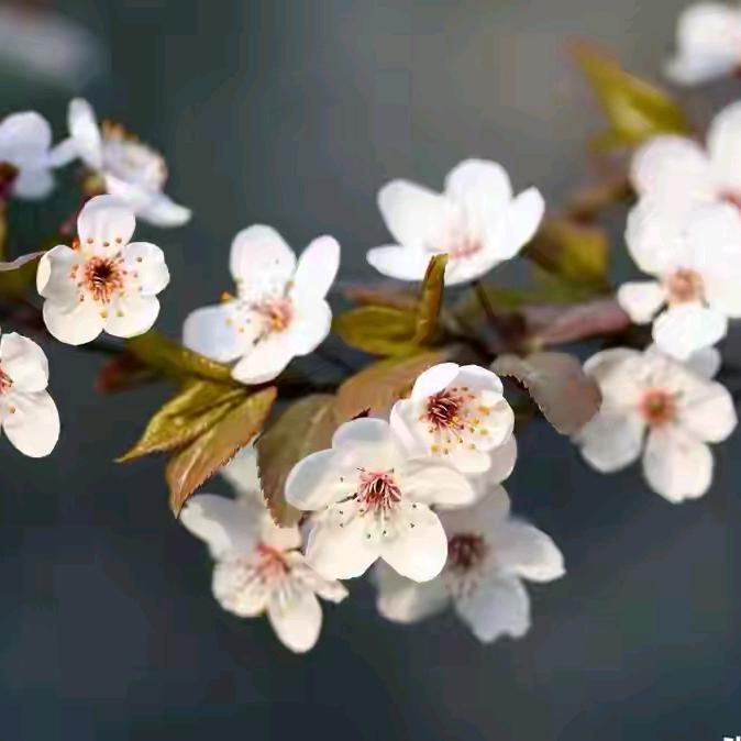 @华哥分享的好物