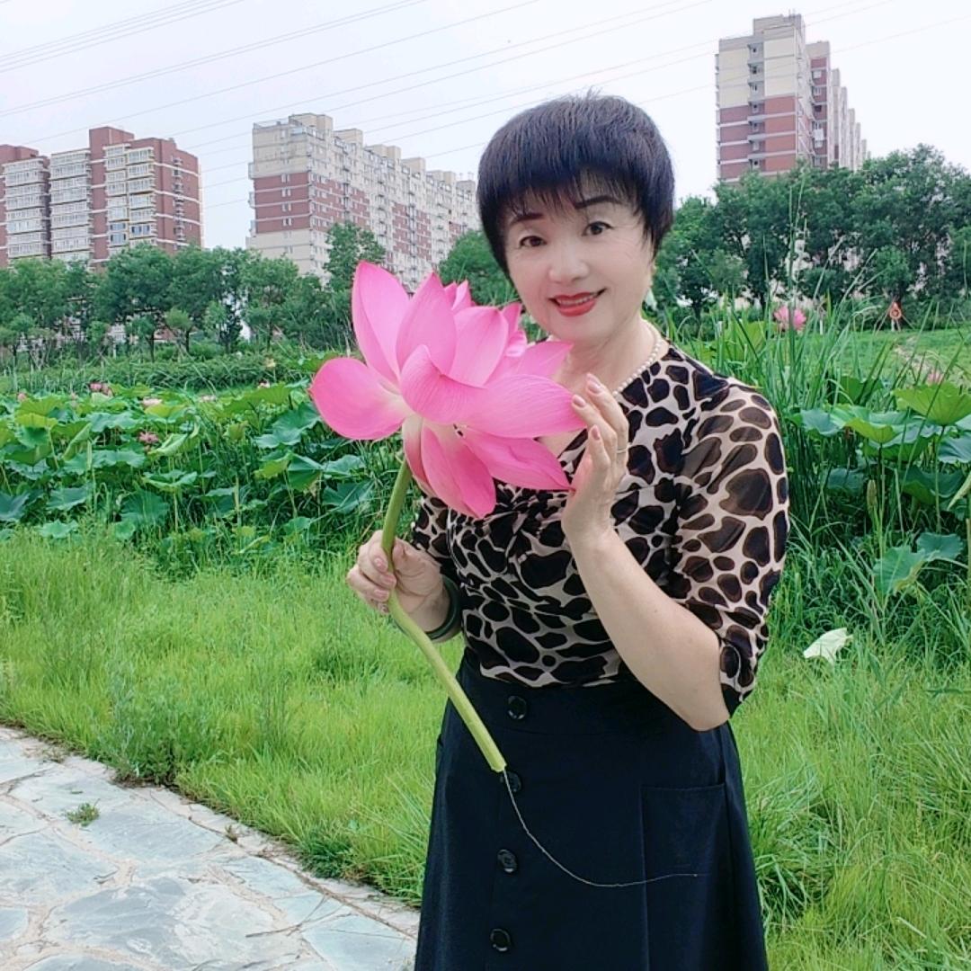 冰山雪莲