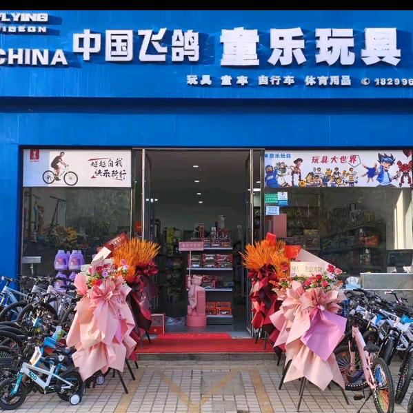 中国飞鸽童乐玩具
