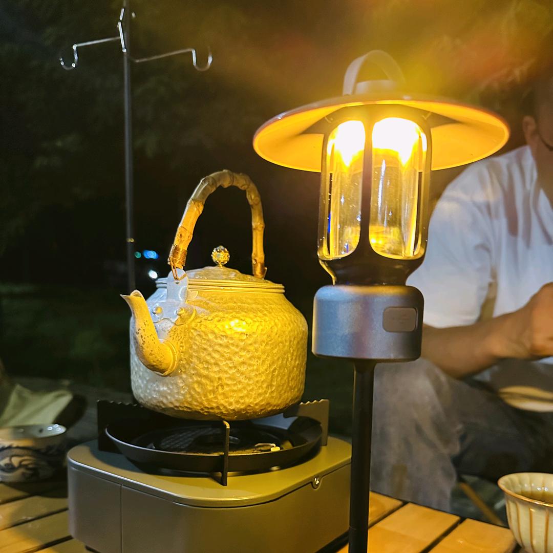 重生之我在河港卖手机🐯