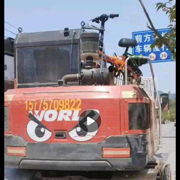 骑着小猪去兜风