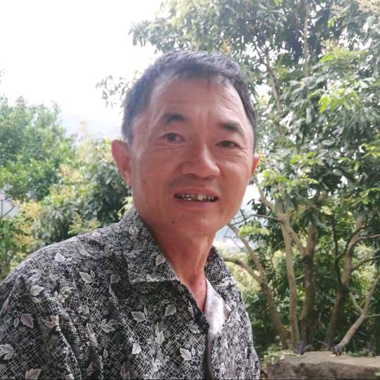刘华