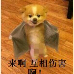 何以解忧，唯有暴富
