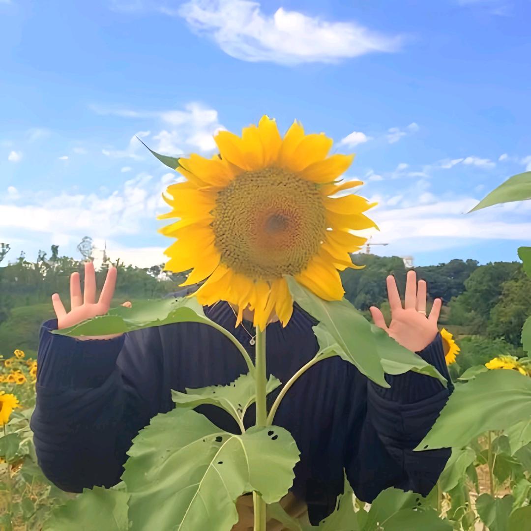 多巴胺ⁱⁿᵍ