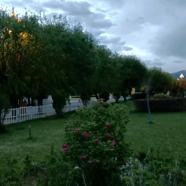 😈西😈藏😈男😈子👿