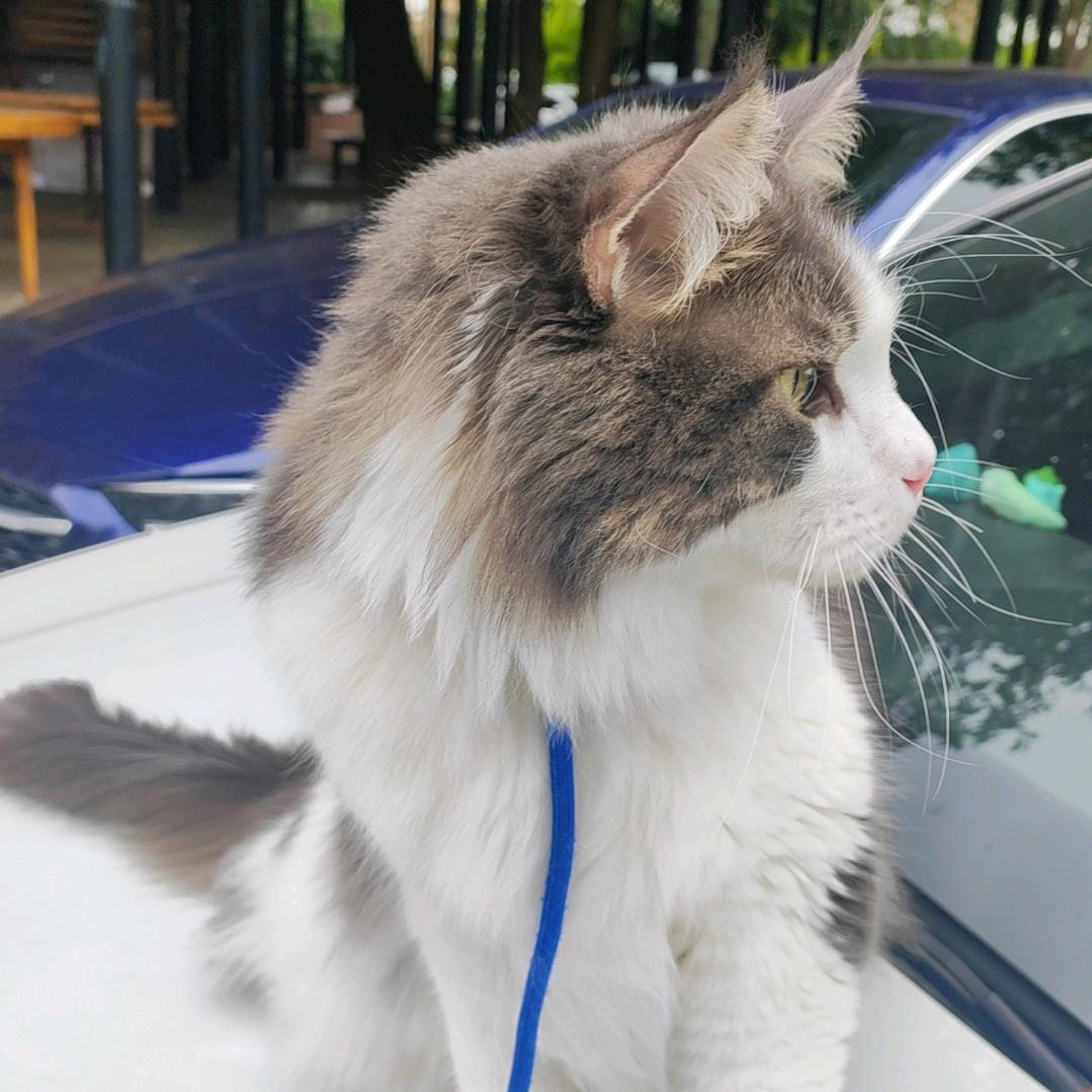 贵州观岚旅行妍妍