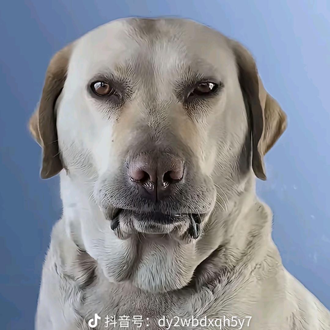 c_c