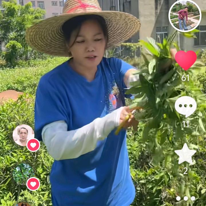 珠姐二姐
