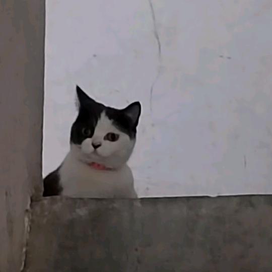 观海听涛