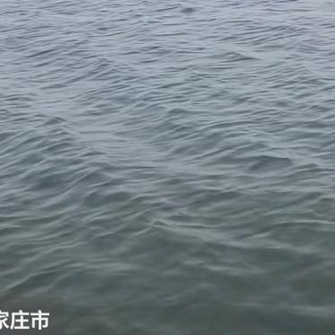 拥抱祖国